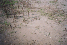 untitled_2